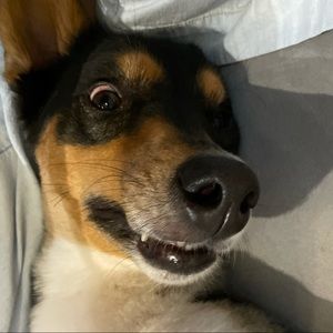 Meet your Posher, Aurora